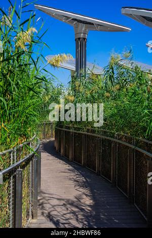 Dubaï, Émirats Arabes Unis - 12.06.2021 : chemin vert avec vue sur les panneaux solaires du Terra Sustainability Pavilion à l'exposition Dubai Expo 2020 Banque D'Images