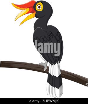 Caricature d'oiseaux calao isolé sur fond blanc Illustration de Vecteur