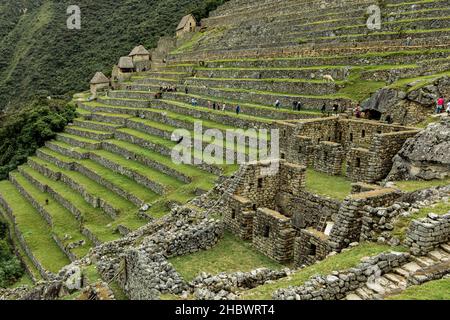 MACHU PICCHU, PÉROU - 9 MARS 2019 : les visiteurs marchent sur les terrasses agricoles du Machu Picchu Banque D'Images