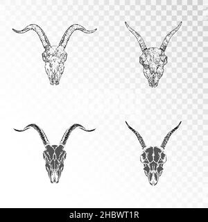 Ensemble vectoriel de crânes de chèvres dessinées à la main sur fond transparent.Silhouettes noires et contour avec texture grunge.Pour vous concevoir, imprimer, tattoo o Illustration de Vecteur