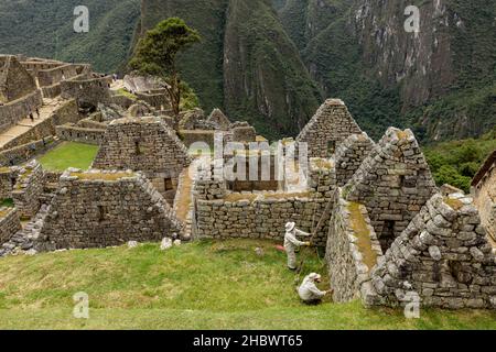 MACHU PICCHU, PÉROU - 9 MARS 2019 : travaux de restauration des ruines en cours Banque D'Images