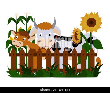 Des animaux de ferme, une vache et un veau sont debout à la clôture, des tournesols et du maïs fleurissent. Illustration de Vecteur