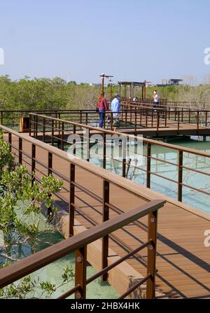 Visites au parc de mangrove de Jubail, avec mangroves grises, marina d ...