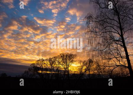 Coucher de soleil multicolore coloré derrière silhouettes d'arbres, magnifique paysage Banque D'Images