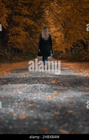 Vue verticale arrière d'une femelle marchant dans une forêt d'automne orange Banque D'Images