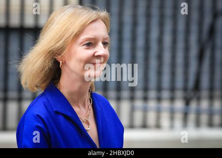 Liz Truss, Elizabeth Truss, députée, politicien du Parti conservateur britannique, ministre, secrétaire aux Affaires étrangères, Downing Street, Westminster Banque D'Images