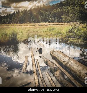 De beaux nuages se reflètent dans l'eau du lac de Lispach dans la Bresse, Vosges Banque D'Images