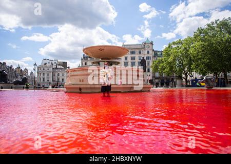 Protstor de rébellion animale debout dans la fontaine de Trafalgar Square avec de l'eau colorée rouge et tenant du sang sur les mains écriteau Londres 2020 Banque D'Images