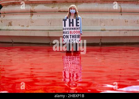 Animal rébellion protestataire debout dans Trafalgar Square rouge fontaine eau tenant signe sang sur les mains Londres 2020 Banque D'Images