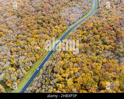 Route forestière avec voiture blanche en automne.Route avec vue aérienne traversant une forêt d'arbres à feuilles caduques jaune et or, automne Banque D'Images