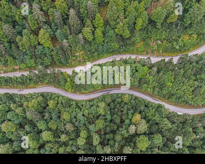 Vue aérienne sur deux routes traversant la forêt de conifères de voges Banque D'Images