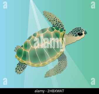 Illustration vectorielle d'une tortue de mer nageant sous l'eau.Le reptile est vert avec une couleur bleue et il a des taches dans une teinte bleu foncé vert sur son h Illustration de Vecteur