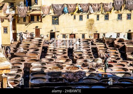 Teinture cuir à Chaouwara artisans tanneries de Fès, Maroc Banque D'Images