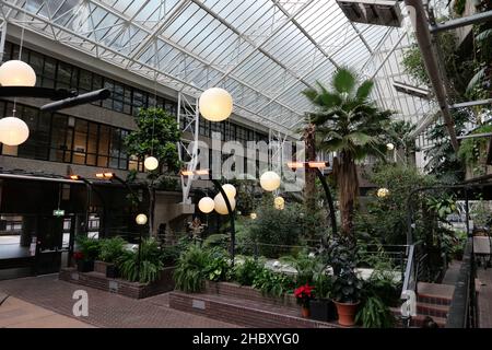 Explorez le Conservatoire sous un nuage magique de sculptures de lumière Akari par Isamu Noguchi, une expérience immersive combinant l'art et la nature au coeur de la ville.Comme une brume montante, un nuage de papier blanc sans poids émerge des plantes et des arbres de l'une des plus grandes serres de Londres.Suspendu au plafond en verre, le nuage d'Akari commence au-dessus de l'étang de carpes de Koi et s'enchaîne vers les balcons brutalistes.Fabriqués en papier de washi japonais et en bambou, les lumières flottent plus loin et s'agrandient, un peu comme lorsque vous soufflez des bulles. Banque D'Images