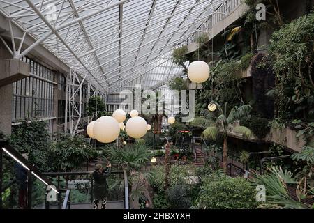 Explorez le Conservatoire sous un nuage magique de sculptures de lumière Akari par Isamu Noguchi, une expérience immersive combinant l'art et la nature au coeur de la ville.Comme une brume montante, un nuage de papier blanc sans poids émerge des plantes et des arbres de l'une des plus grandes serres de Londres.Suspendu au plafond en verre, le nuage d'Akari commence au-dessus de l'étang de carpes de Koi et s'enchaîne vers les balcons brutalistes.Fabriqués en papier de washi japonais et en bambou, les lumières flottent plus loin et s'agrandient, un peu comme lorsque vous soufflez des bulles. Banque D'Images