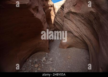 Little Wild Horse Canyon est une belle fente du sud-ouest qui traverse la houle de San Rafael près du parc national de Goblin Valley dans l'Utah Banque D'Images