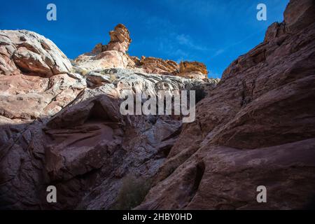 Little Wild Horse Canyon est une belle fente du sud-ouest qui traverse la houle de San Rafael près du parc national de Goblin Valley dans l'Utah Banque D'Images