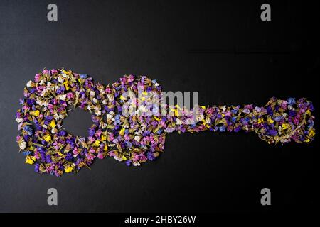 concept créatif d'une guitare faite de fleurs de limonium sinuatum, isolée sur le noir Banque D'Images