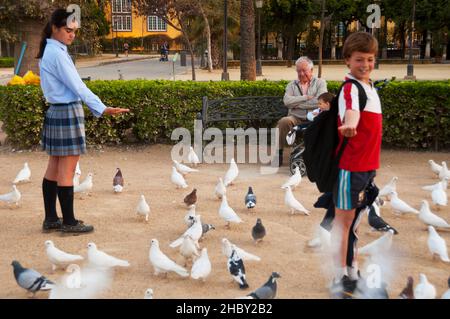 Parque de María Luisa à Séville, Espagne. Banque D'Images