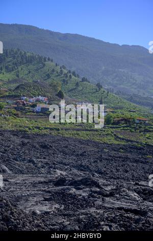 Champ de lave du volcan San Juan (1949) aux grottes de lave Canos de Fuego, Las Manchas, Las Manchas, la Palma, Espagne Banque D'Images