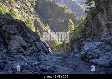 Le sentier de randonnée traverse le Barranco de las Angustias dans les rochers d'un ancien canal d'eau, Caldera de Taburiente, El Paso, la Palma, Espagne Banque D'Images