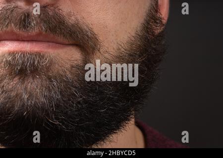 Une barbe parfaite.Gros plan du jeune homme barbu.Gros plan sur la jolie barbe hipster masculine.Une barbe élégante et bien entretenue.Gros plan hommes barbus Banque D'Images