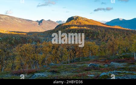 Superbes couleurs vives de l'automne dans un paysage arctique lointain.Nature sauvage du parc national Stora Sjofallet, Suède.Nature sauvage isolée le jour d'automne ensoleillé Banque D'Images