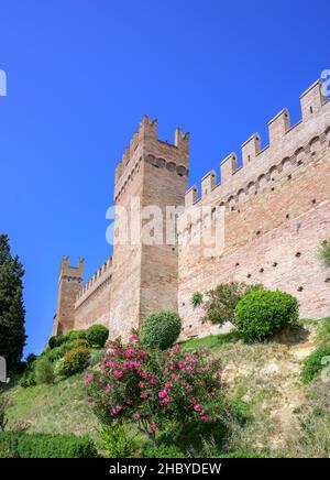 Mur de défense de la ville médiévale, Gradara, province de Pesaro et Urbino, Italie Banque D'Images