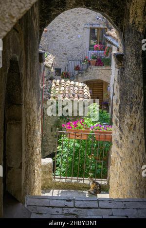 Archway et chat dans la vieille ville de Santo Stefano di Sessanio, province de l'Aquila, Italie Banque D'Images