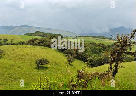 Paysage typique de Monte-Verde, province d'Alajuela, Costa Rica, Amérique centrale Banque D'Images