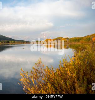 Mont Moran se reflète dans la rivière Snake, le matin à Oxbow Bend, arbres d'automne et Grand Teton Range, parc national de Grand Teton, Wyoming, États-Unis Banque D'Images