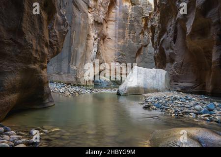 L'emblématique House Rock se trouve dans la section Narrows de la North Fork Virgin River, dans le parc national de Zion, Utah. Banque D'Images