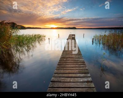 Coucher de soleil à Grosser Lychensee, passerelle en bois dans les roseaux, Lychen, Brandebourg, Allemagne Banque D'Images