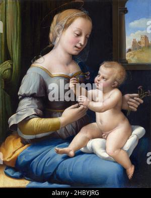 Raphaël / Raffaello - la Madonna des roses (ca.1506-1507) peinture célèbre. Banque D'Images