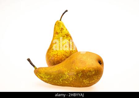 Deux poires fraîches. Fruit jaune isolé sur fond blanc. Banque D'Images