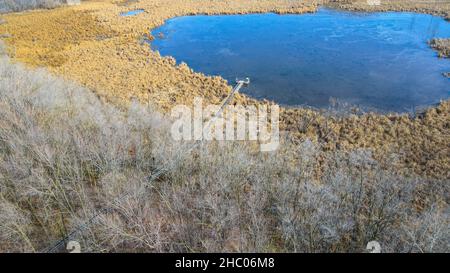 Le sentier de randonnée mène à la zone d'observation au-dessus de l'eau à un lac marécageux. Banque D'Images