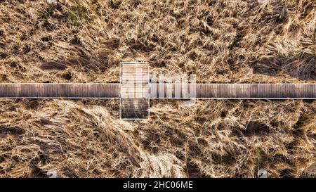 Le sentier de randonnée mène à la zone d'observation au-dessus de l'eau à un lac marécageux. Banque D'Images