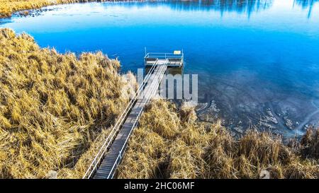 Le sentier de randonnée mène à la zone d'observation au-dessus de l'eau à un lac marécageux. Banque D'Images