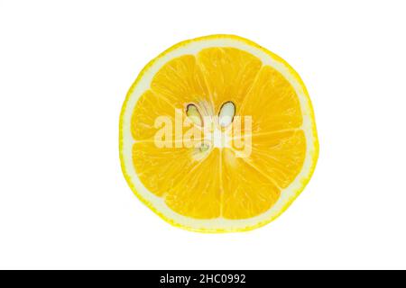 Tranche de citron, vue de dessus de la tranche de citron isolée sur fond blanc.Agrumes avec passe-cheveux. Banque D'Images