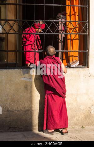 De jeunes moines bouddhistes novices visitent un dortoir dans le monastère de Sechen à Katmandou, au Népal. Banque D'Images