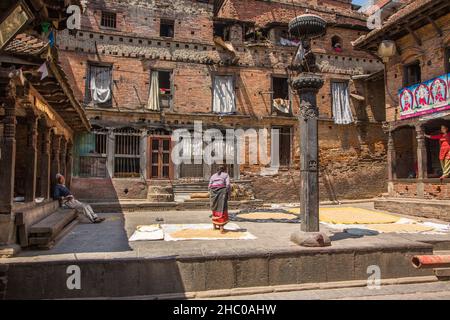 Une népalaise marche sur du riz non décortiqué pour le faire tourner tout en séchant au soleil dans la ville médiévale de Bhaktapur, au Népal.En face est un stute de Garuda. Banque D'Images