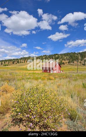 Paysages pittoresques autour du monument national Florissant Fossil Beds, Florissant CO Banque D'Images