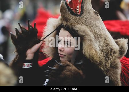 Bucarest, Roumanie - 21 décembre 2021 : une jeune femme porte de la fourrure d'ours et exécute un rituel traditionnel roumain de la nouvelle année (Bears Dance ou Dansul Urs Banque D'Images