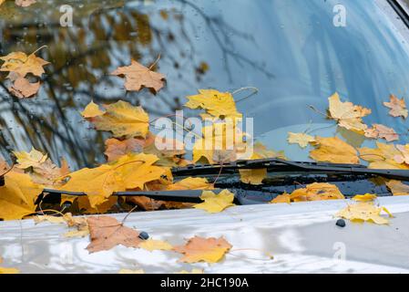 Feuilles jaunes tombées sur le capot de la voiture.Le pare-brise de la voiture est parsemé de feuillage jaune. Banque D'Images