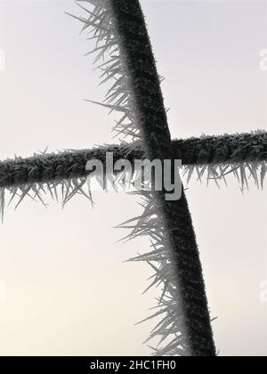 le givre sur l'atwo croise de fines barres de fer noires sur un fond clair Banque D'Images