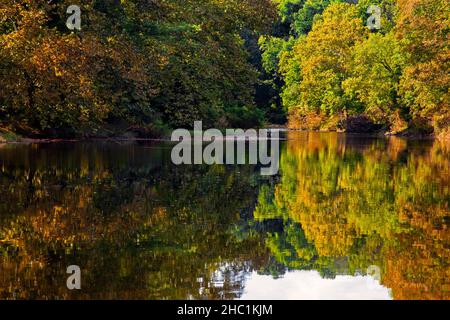 Neshaminy Creek, un affluent de la rivière Delaware, est un ruisseau de 40,7 kilomètres de long dans le comté de Bucks, en Pennsylvanie. Banque D'Images