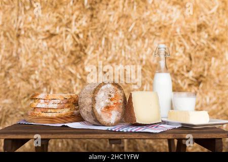 tête et morceaux de fromage dur vieilli et de lait sur le foin Banque D'Images