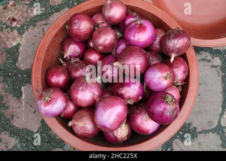 Marché de Mangwon à Séoul. Banque D'Images