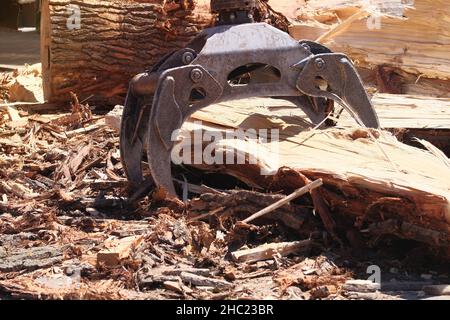 Un véhicule lourd déplace des grumes dans une scierie.Le chargeur de grumes déplace la pile de grumes de pin.Industrie du bois d'œuvre.Arbre de récolte. Banque D'Images