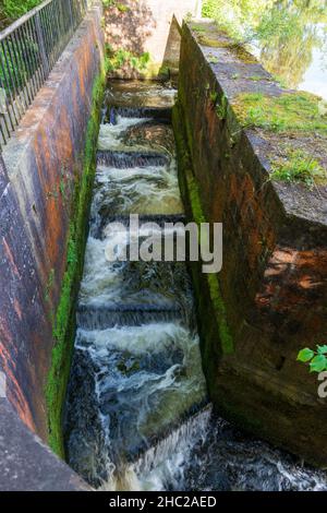 Un col étroit de poissons à côté de la rivière Wharfe weir à Wetherby, West Yorkshire Banque D'Images